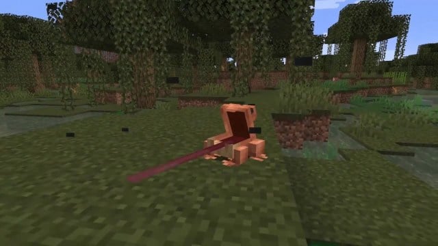 When Will Minecraft Frogs be Added to the Game? Answered