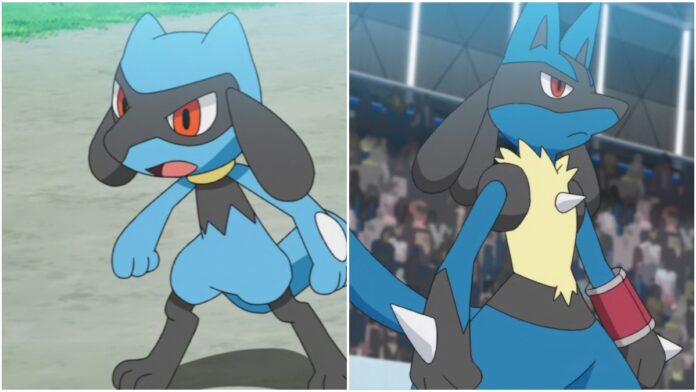 lucario and riolu from pokemon