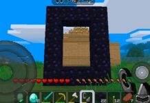 How to Make a Portal in Multicraft