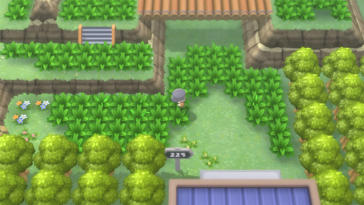 Best Places to Pokeradar Chain in Pokemon Brilliant Diamond and Shining