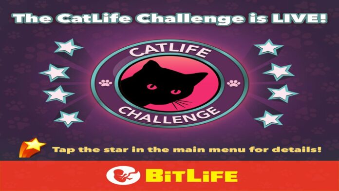 How to Complete the Catlife Challenge in Bitlife