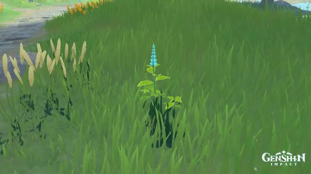 Where to Find Mint in Teyvat in Genshin Impact Touch, Tap, Play