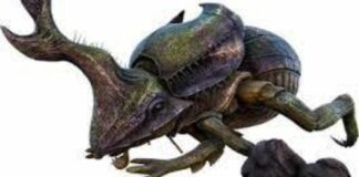 What do Dung Beetles do in ARK Survival Evolved? – Answered