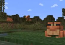 minecraft frog feature