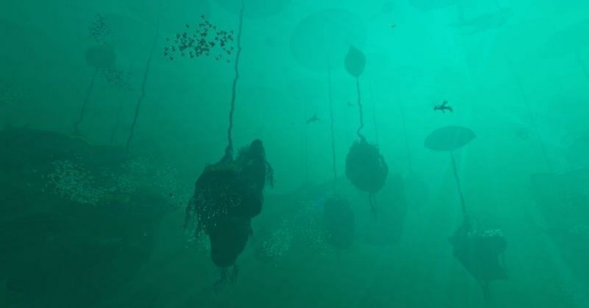 How to Find the Nickel Ore in Subnautica: Below Zero