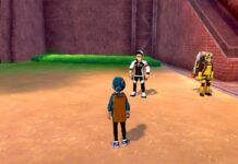 Where to Buy Quick Balls in Pokemon Sword and Shield