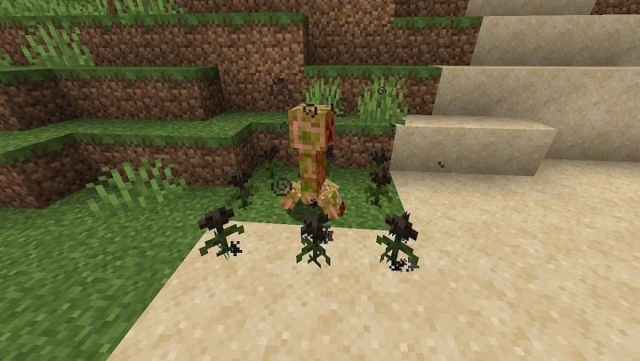 How to Get Wither Rose in Minecraft Bedrock