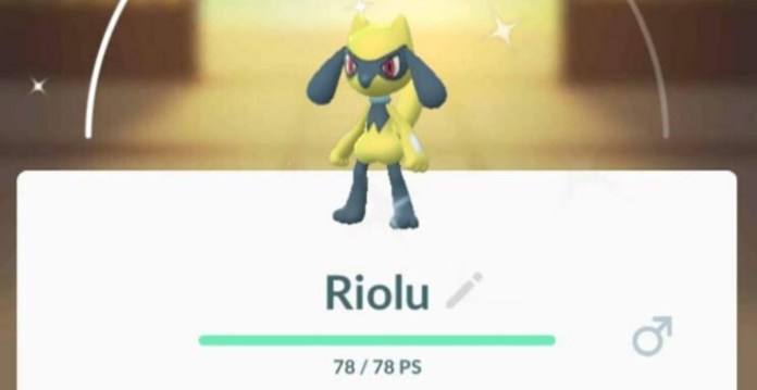 shiny riolu from pokemon go