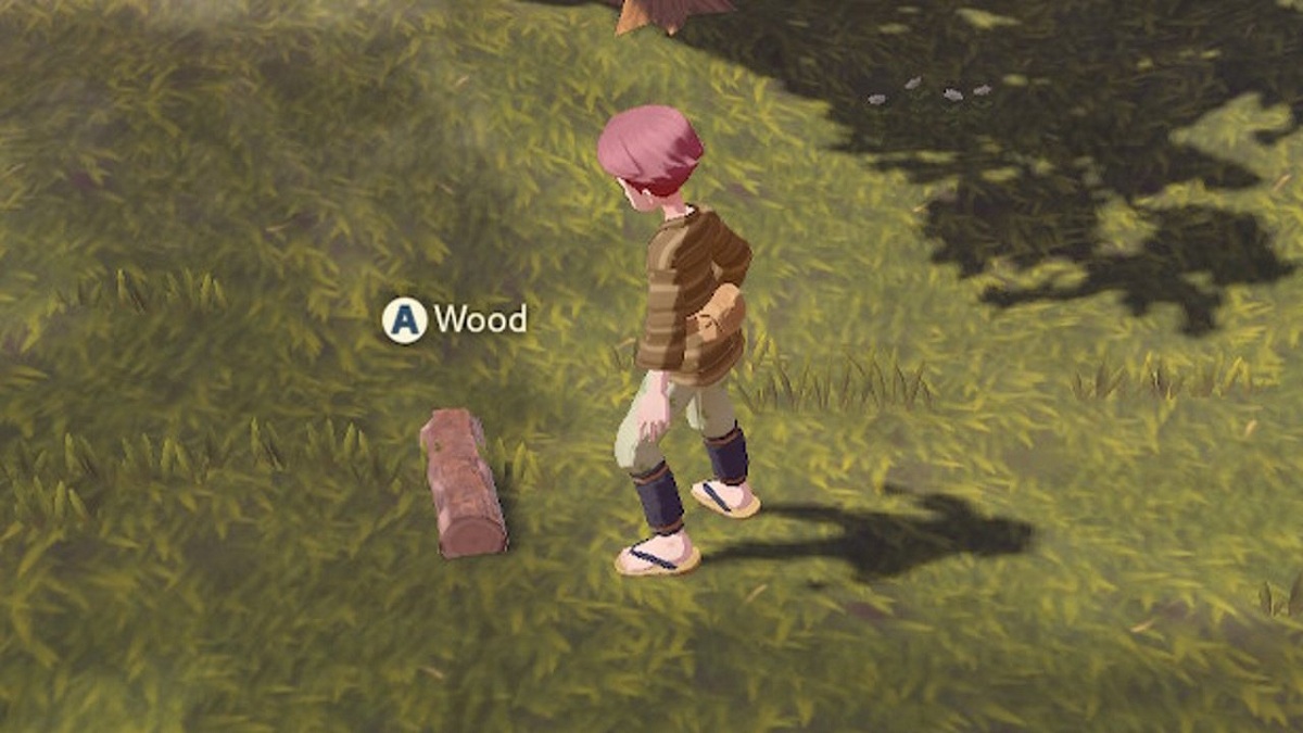 What is Wood Used For in Pokemon Legends Arceus? Answered Touch