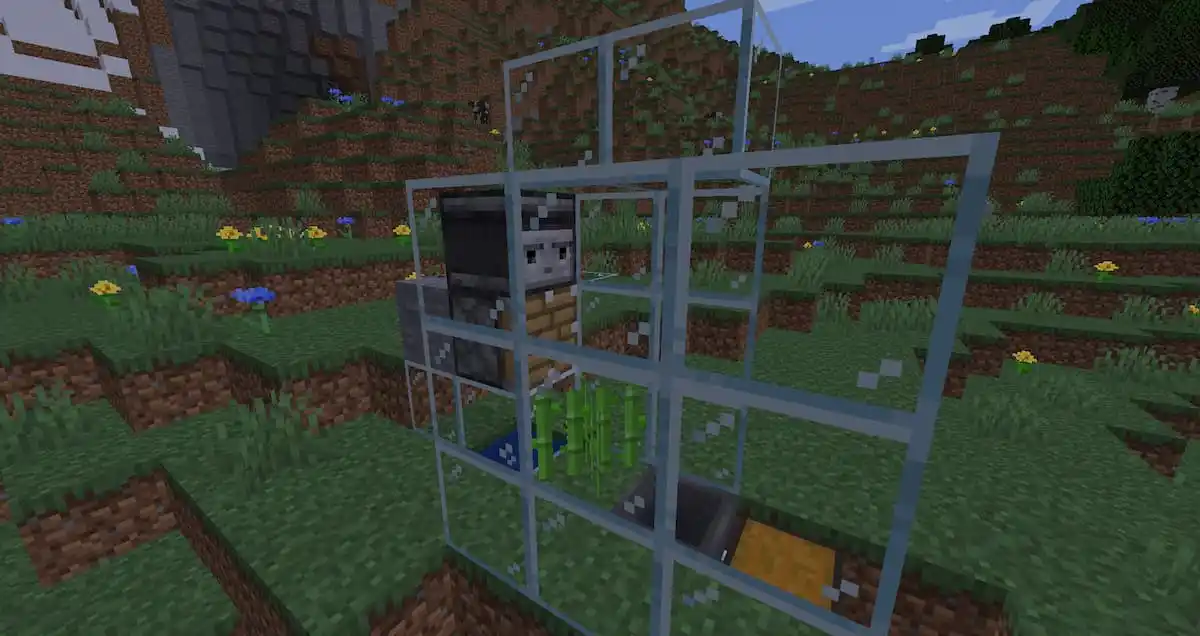 Minecraft building sugar cane farm