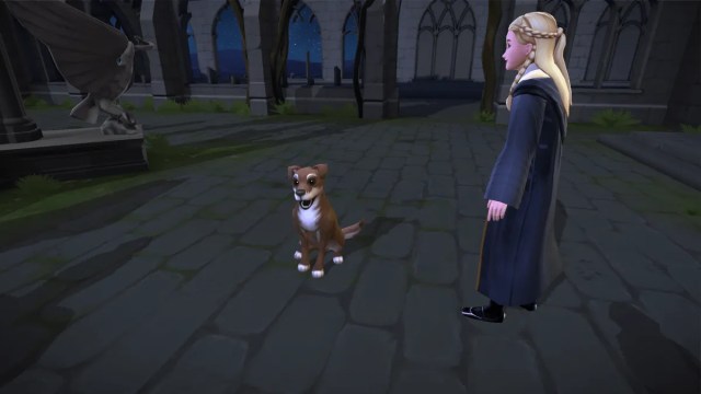 Can You Choose Your Animagus in Harry Potter: Hogwarts Mystery