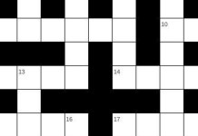 crossword feature