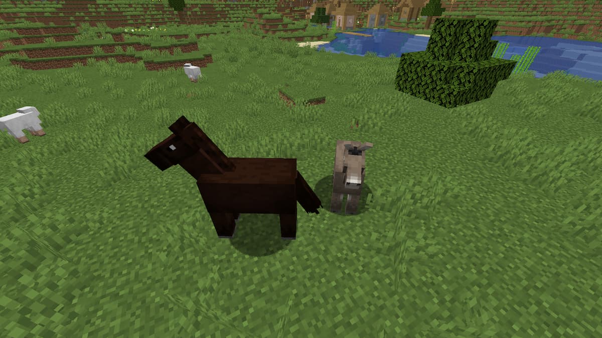 How to Get a Mule in Minecraft Bedrock Edition Touch, Tap, Play