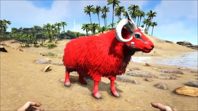 Where to Find Ovis in Fjordur Map ARK Survival Evolved