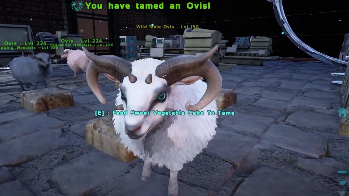 an ovis from ARK Survival Evolved