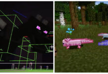 axolotls and the ender dragon in minecraft