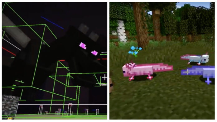 axolotls and the ender dragon in minecraft