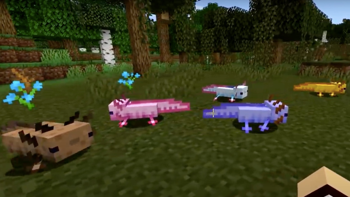 What is the Rarest Axolotl in Minecraft Bedrock Edition Touch, Tap, Play
