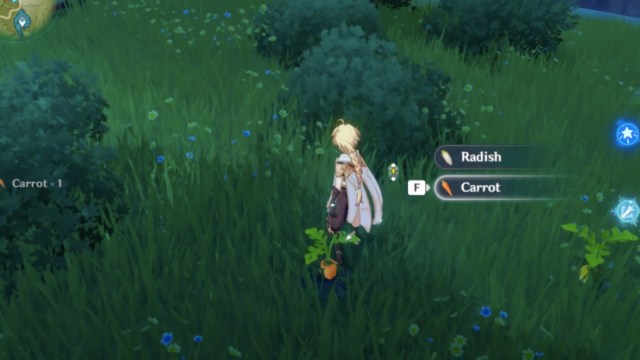 Finding carrots in Genshin Impact