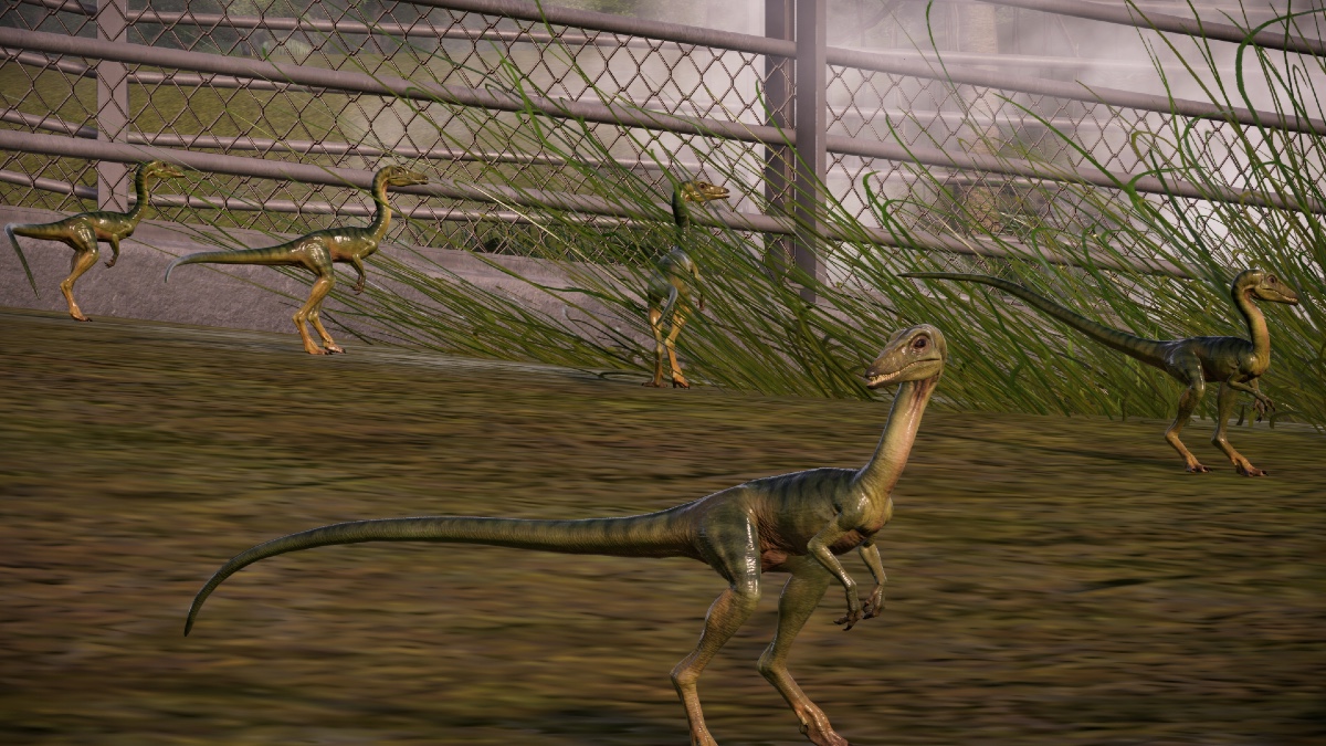 Compys from Jurassic World Evolution 2. 
