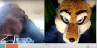 ishowspeed furry youtube feature