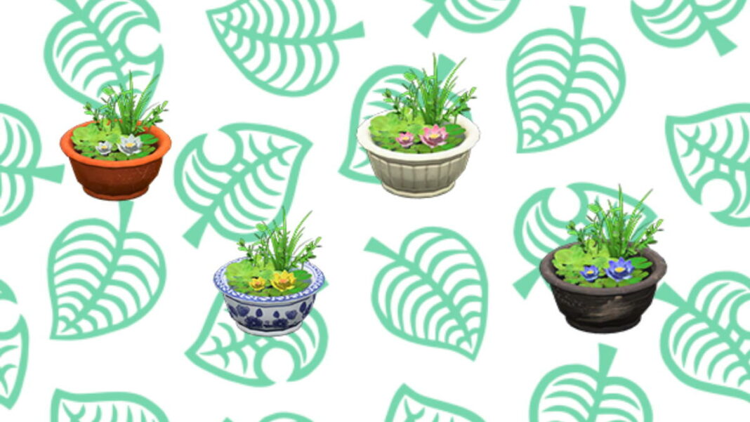 You can also find the FloatingBiotope Planter in the homes of the