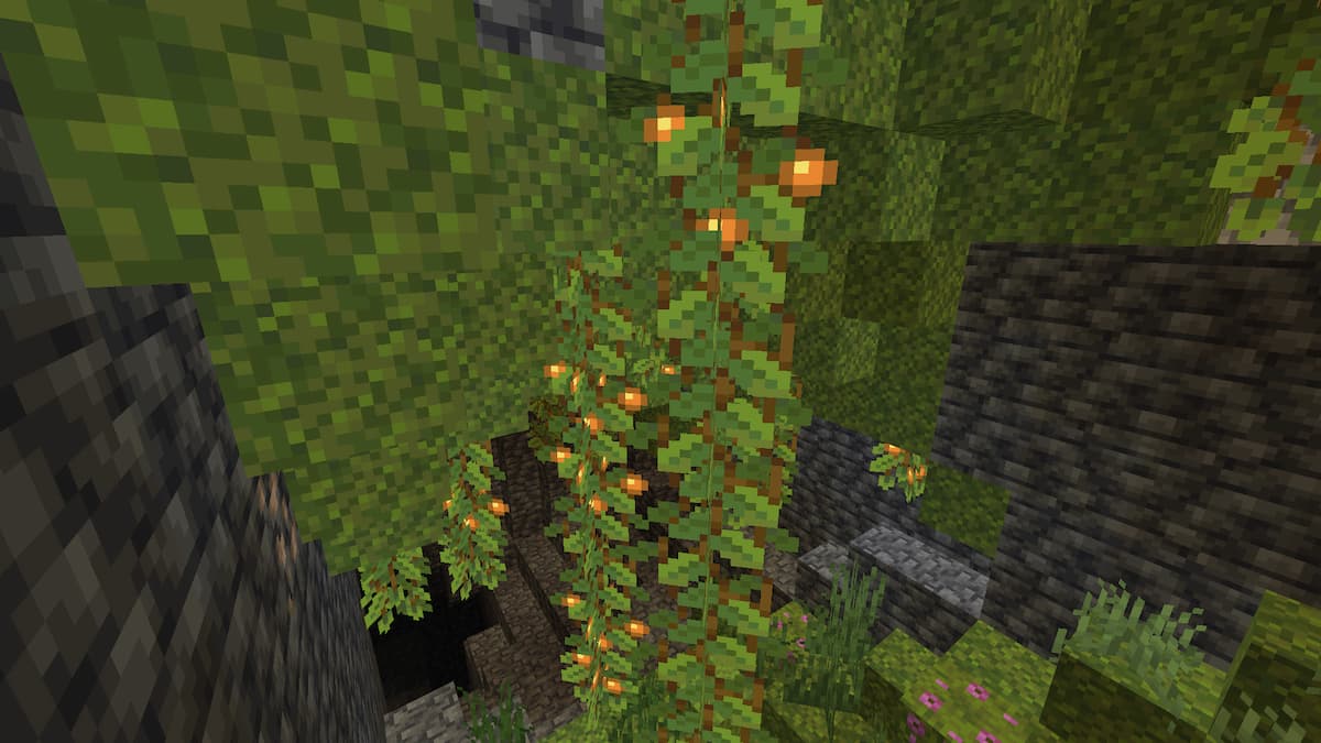 How to grow Glow Berries in Minecraft Bedrock Touch, Tap, Play