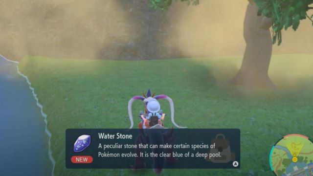 Where to Get Water Stones in Pokémon Scarlet and Violet