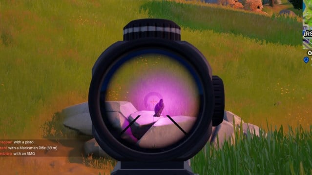 How to Find a Glowing Loot Animal in Fortnite