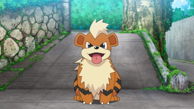 How to Evolve Growlithe into Arcanine in Pokemon Scarlet and Violet