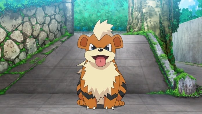 growlithe from pokemon