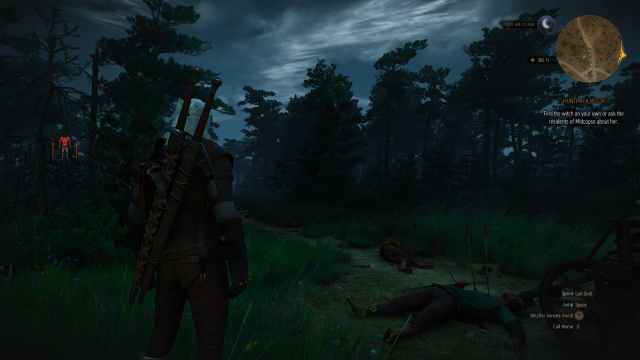 The Witcher 3 simulate save: Should you simulate a Witcher 2 save