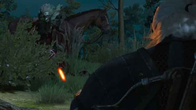 Jenny o' the Woods Witcher 3