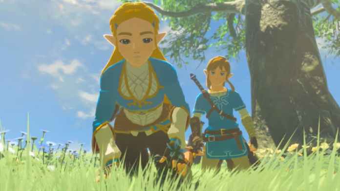Zelda in Breath of the WIld