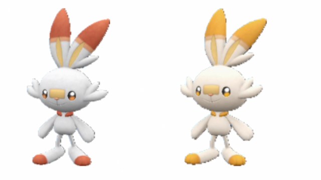 scorbunny