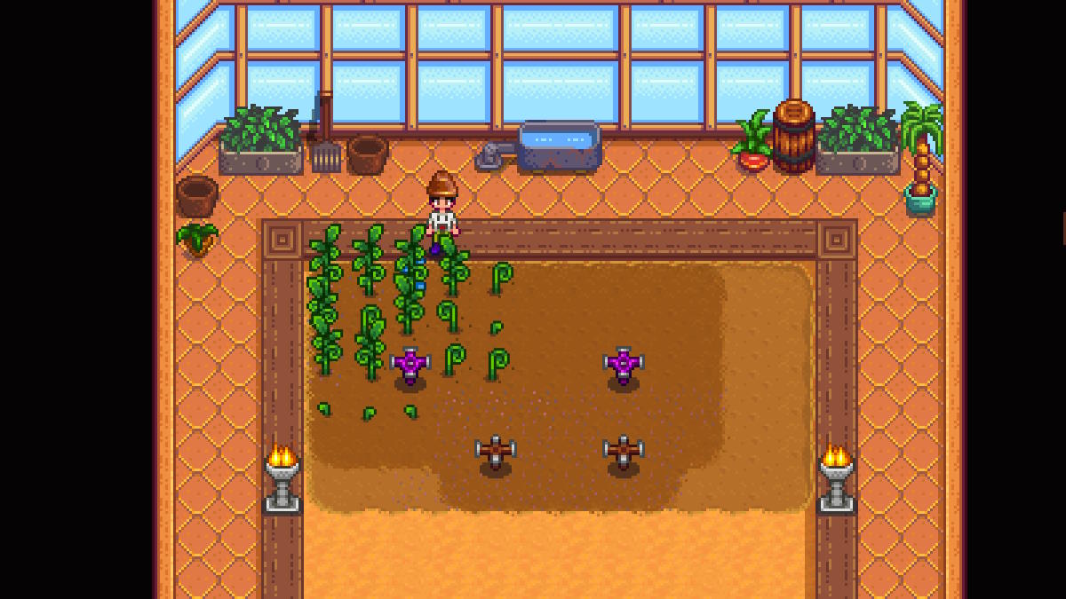 Stardew Valley How to Complete the Missing Bundle Mission Guide