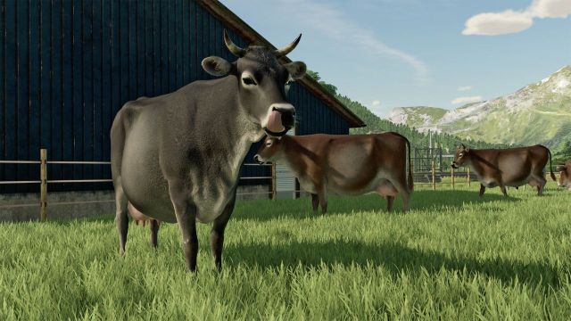 How to Feed your Cows in Farming Simulator 22