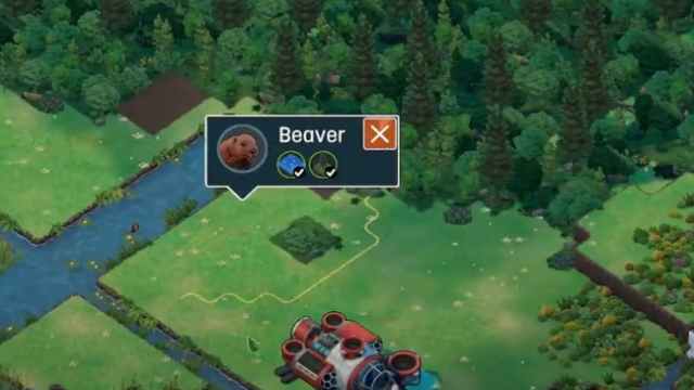 Beaver in Terra Nil