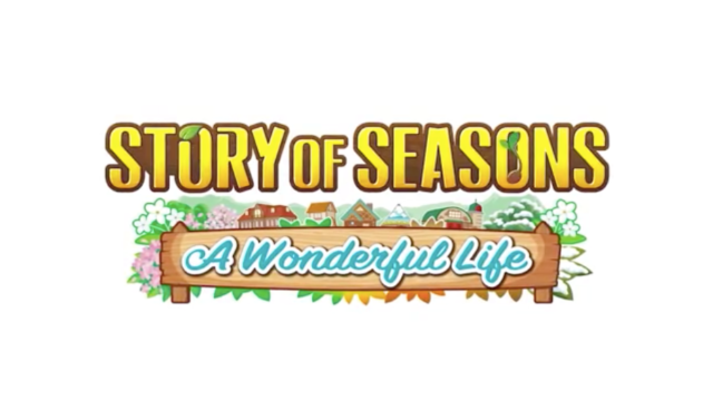 Best Hairstyles in Story of Seasons: A Wonderful Life