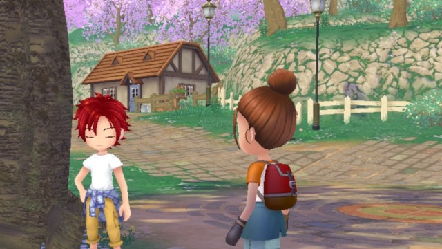 How to Activate Heart Events in Story of Seasons: A Wonderful Life
