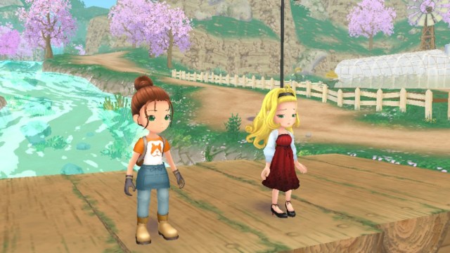 All Romance Options in Story of Seasons: A Wonderful Life