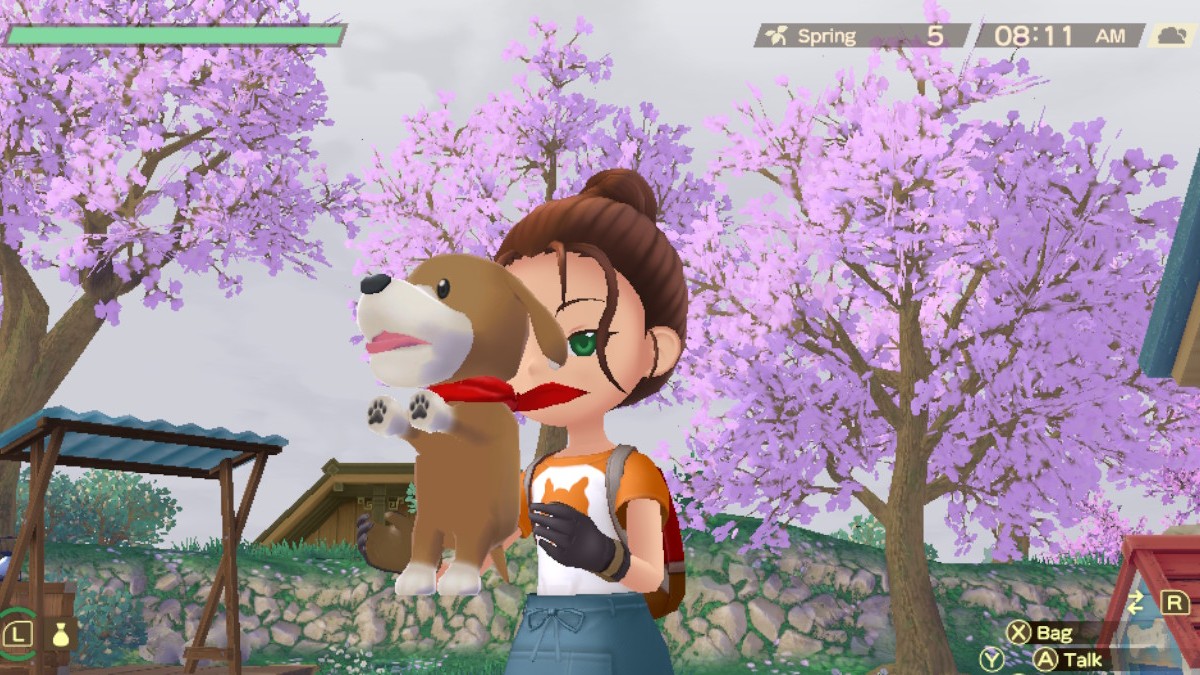 the character with a dog in story of seasons
