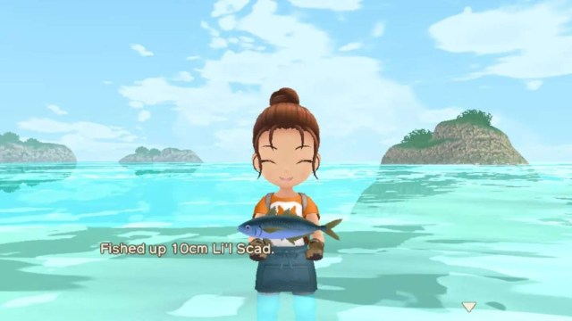 the character with a fish in story of seasons