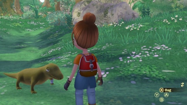 What Are The Forest Animals For in Story of Seasons: A Wonderful Life