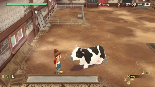 The player with a cow in Story of Seasons.