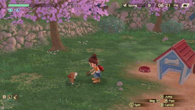 Training the dog in Story of Seasons.