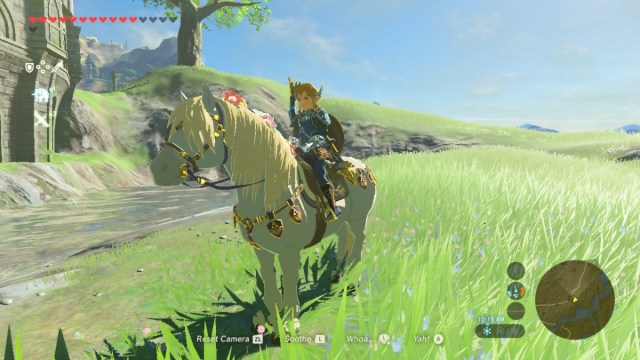 a stallion with a long mane in breath of the wild