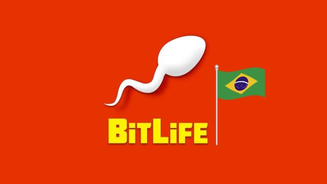 BitLife: How to Be Born a Male in Brazil